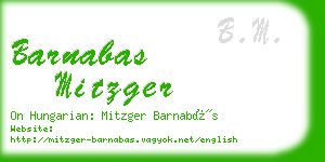 barnabas mitzger business card